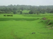 Required Land